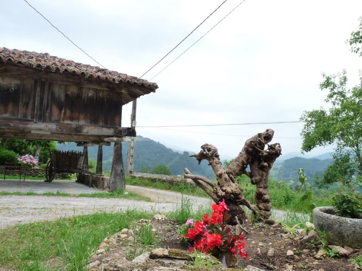 Casa Iris Guest House Narciandi ภายนอก รูปภาพ